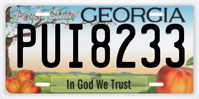 GA license plate PUI8233