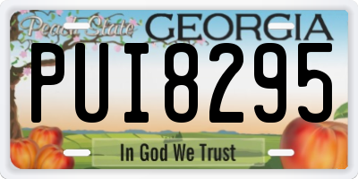 GA license plate PUI8295
