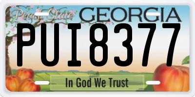 GA license plate PUI8377