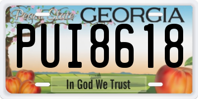 GA license plate PUI8618