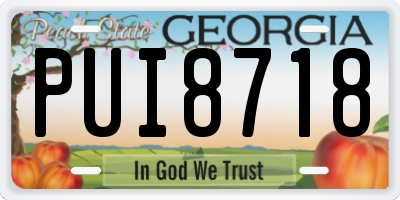 GA license plate PUI8718