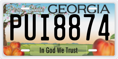 GA license plate PUI8874