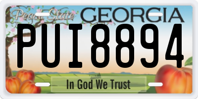 GA license plate PUI8894