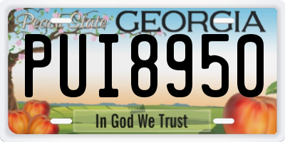 GA license plate PUI8950