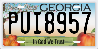 GA license plate PUI8957