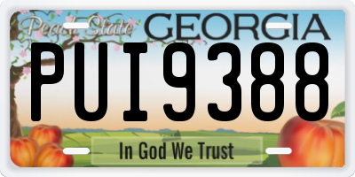 GA license plate PUI9388