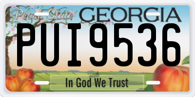 GA license plate PUI9536
