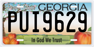GA license plate PUI9629