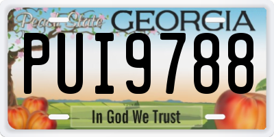 GA license plate PUI9788
