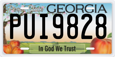 GA license plate PUI9828