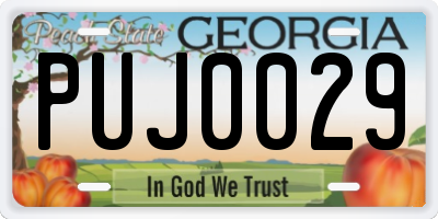 GA license plate PUJ0029