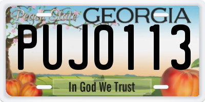 GA license plate PUJ0113