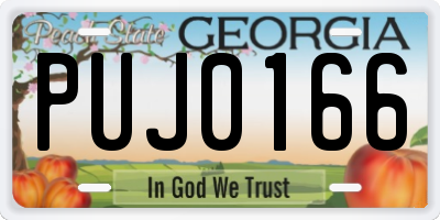 GA license plate PUJ0166