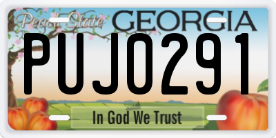 GA license plate PUJ0291