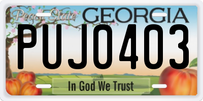 GA license plate PUJ0403