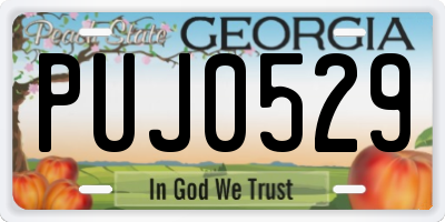 GA license plate PUJ0529