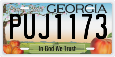 GA license plate PUJ1173