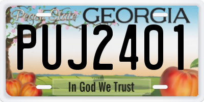 GA license plate PUJ2401