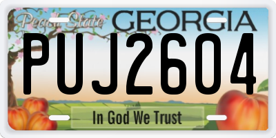 GA license plate PUJ2604