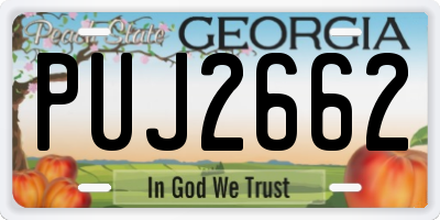 GA license plate PUJ2662