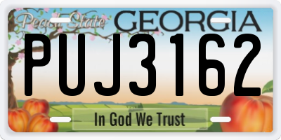 GA license plate PUJ3162