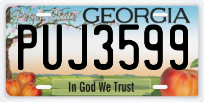 GA license plate PUJ3599
