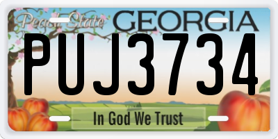 GA license plate PUJ3734