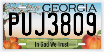 GA license plate PUJ3809