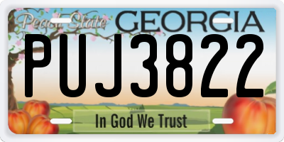 GA license plate PUJ3822