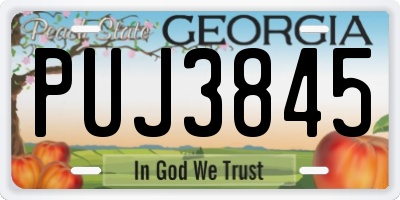 GA license plate PUJ3845