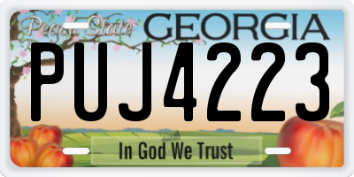 GA license plate PUJ4223