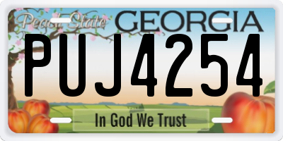 GA license plate PUJ4254