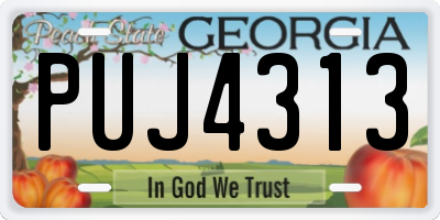 GA license plate PUJ4313