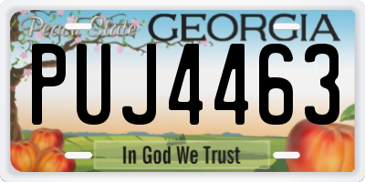 GA license plate PUJ4463