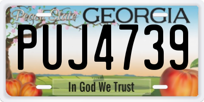 GA license plate PUJ4739