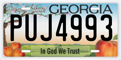 GA license plate PUJ4993