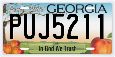 GA license plate PUJ5211