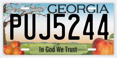 GA license plate PUJ5244