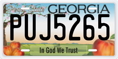 GA license plate PUJ5265