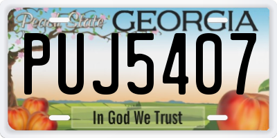 GA license plate PUJ5407