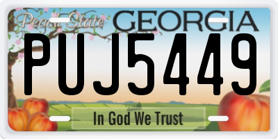 GA license plate PUJ5449