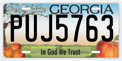 GA license plate PUJ5763