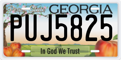 GA license plate PUJ5825