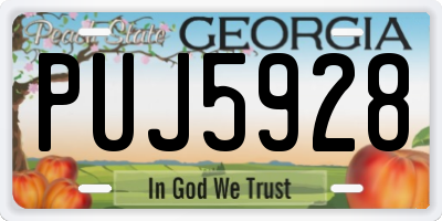 GA license plate PUJ5928