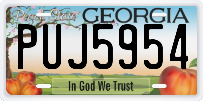GA license plate PUJ5954