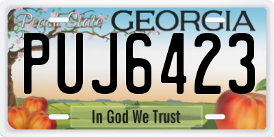 GA license plate PUJ6423