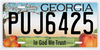 GA license plate PUJ6425