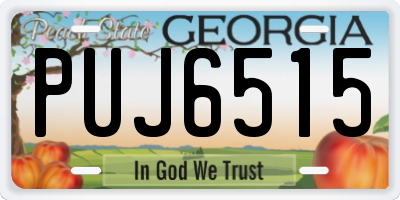 GA license plate PUJ6515