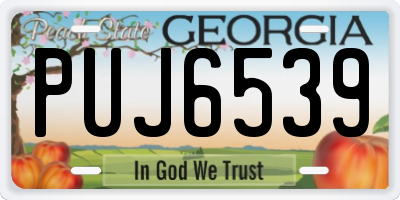 GA license plate PUJ6539