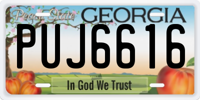 GA license plate PUJ6616